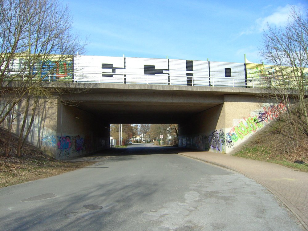 Graffiti Bombing in Oldenburg - Photo by oldenburgcity - echo (2011)