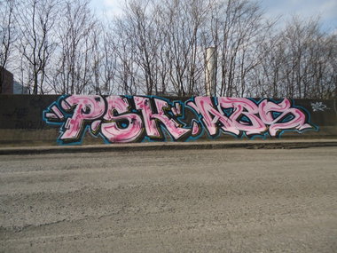 Graffiti Bombing in Oldenburg - Photo by oldenburgcity - psk, abs (2013)