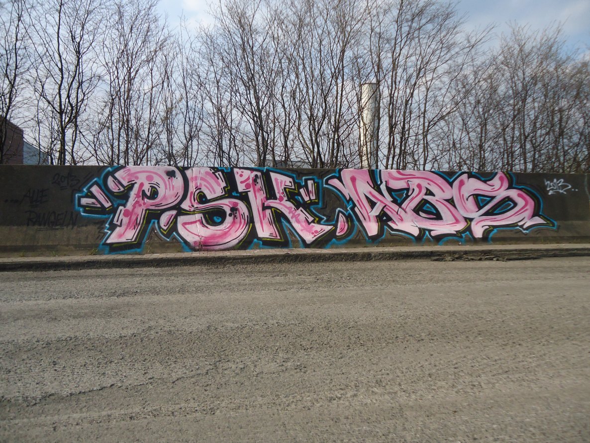 Graffiti Bombing in Oldenburg - Photo by oldenburgcity - psk, abs (2013)