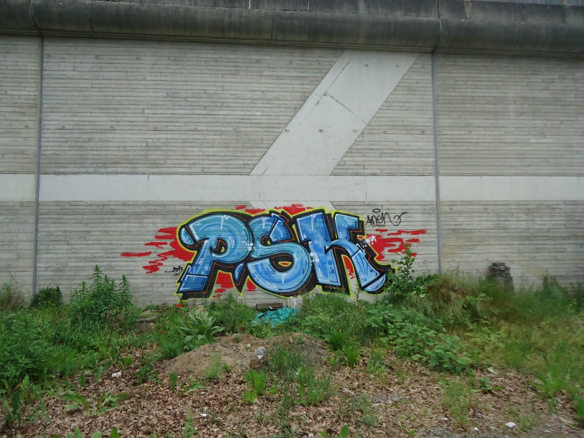 Graffiti Bombing in Oldenburg - Photo by oldenburgcity - psk (2013)