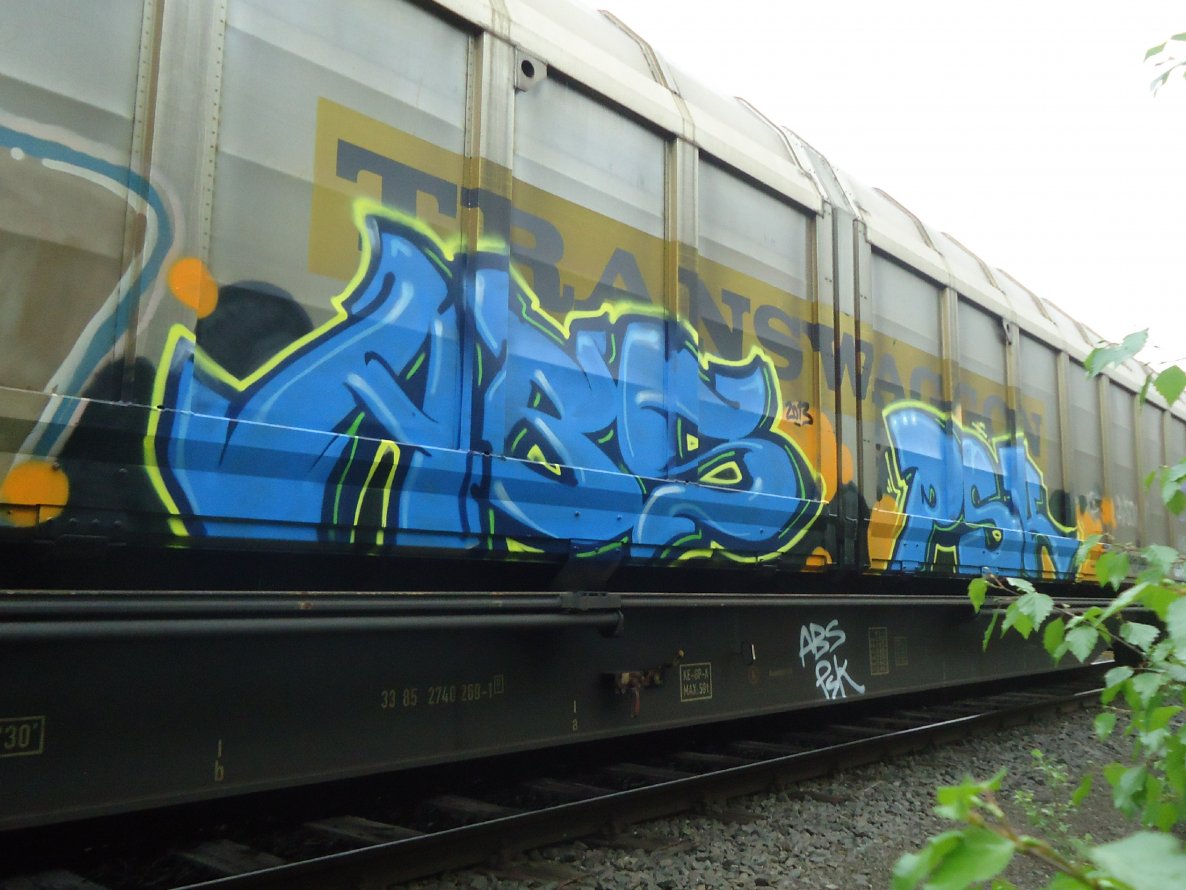 Graffiti Train in Oldenburg - Photo by oldenburgcity - abs, psk (2013)