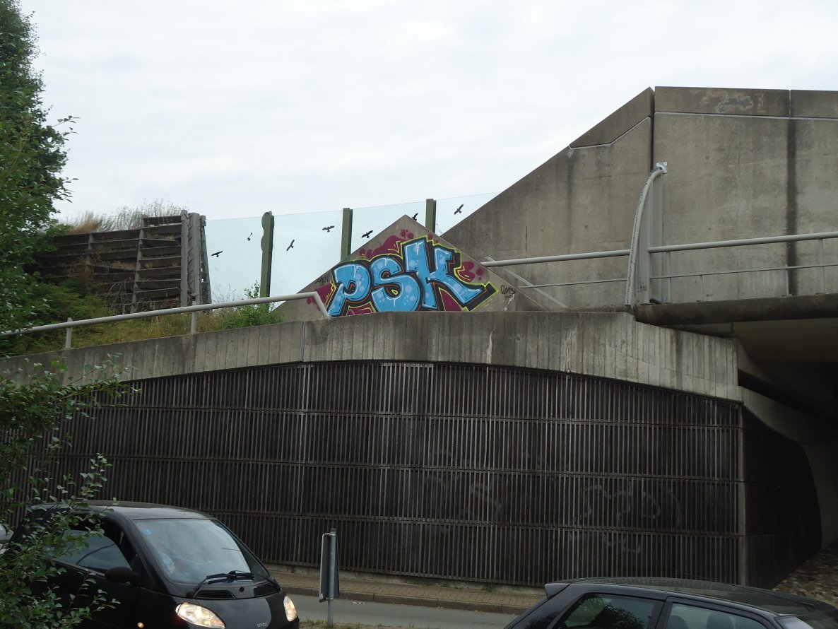 Graffiti Bombing in Oldenburg - Photo by oldenburgcity - psk (2013)