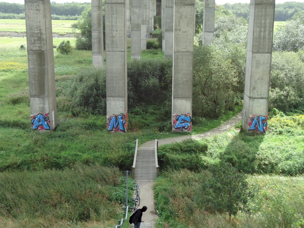 Graffiti Bombing in Oldenburg - Photo by oldenburgcity - amen (2012)