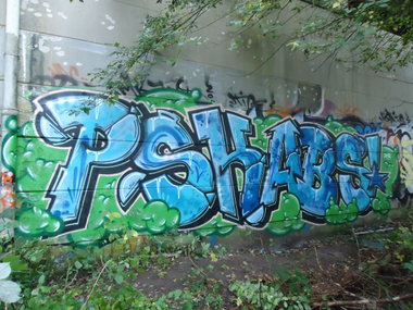 Graffiti Bombing in Oldenburg - Photo by oldenburgcity - psk, abs (2012)