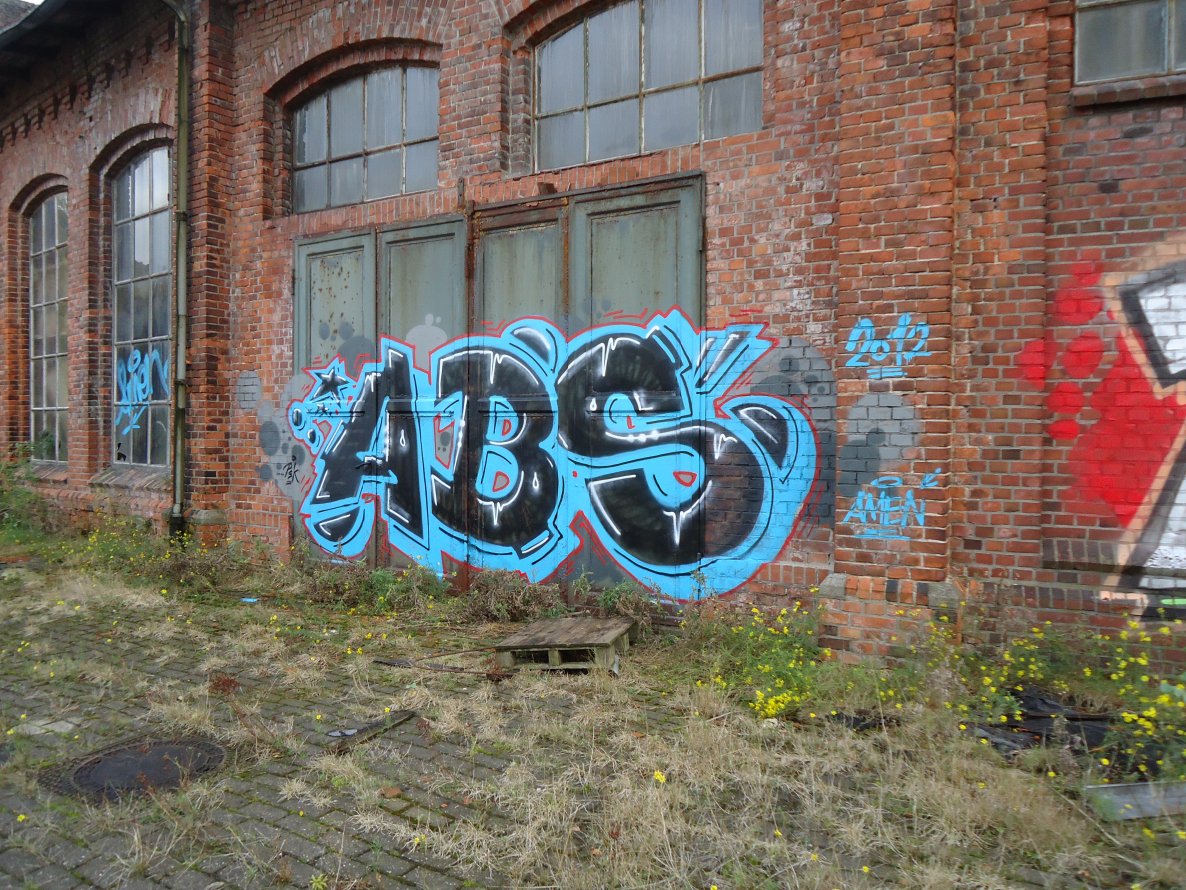 Graffiti Bombing in Oldenburg - Photo by oldenburgcity - abs (2012)