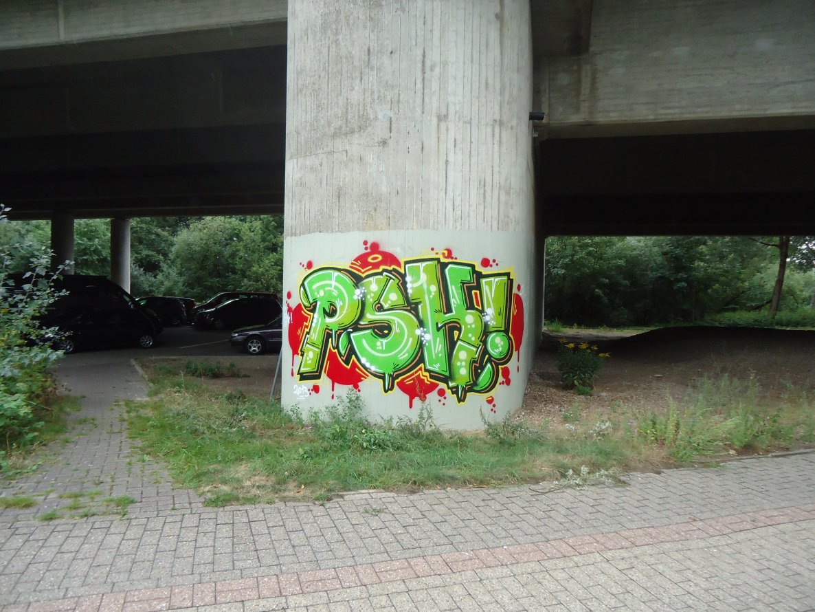 Graffiti Bombing in Oldenburg - Photo by oldenburgcity - psk (2013)