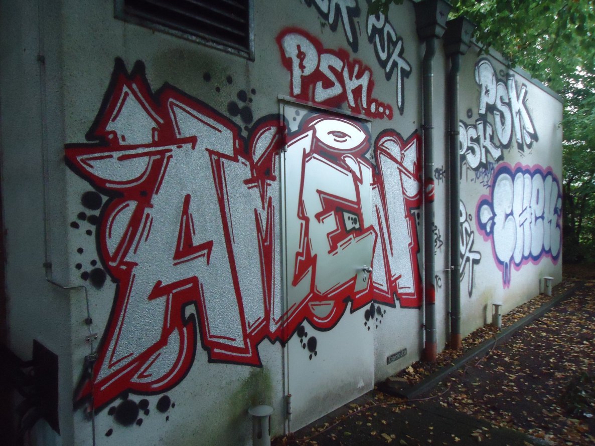 Graffiti Bombing in Oldenburg - Photo by oldenburgcity - amen, chek, psk (2013)