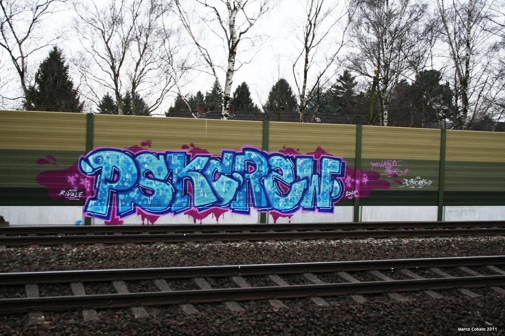 Graffiti Bombing in Bremen - Photo by oldenburgcity - psk (2011)