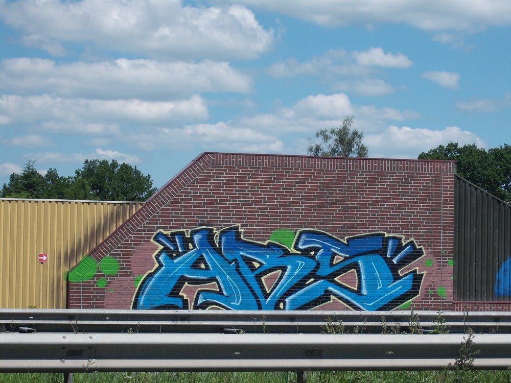 Graffiti Bombing in Oldenburg - Photo by oldenburgcity - abs (2010)