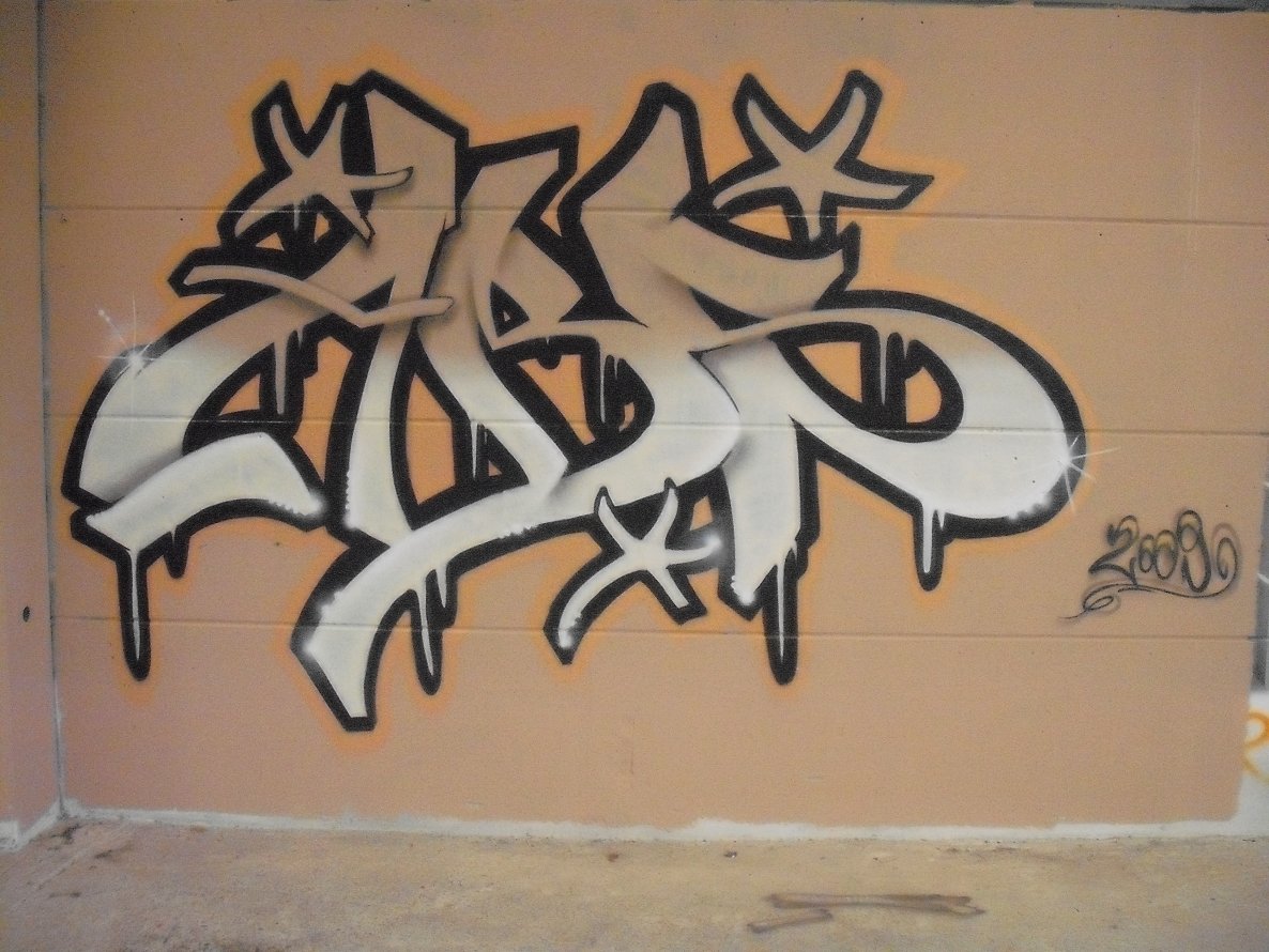 Graffiti Wall in Oldenburg - Photo by oldenburgcity - abs (2009)