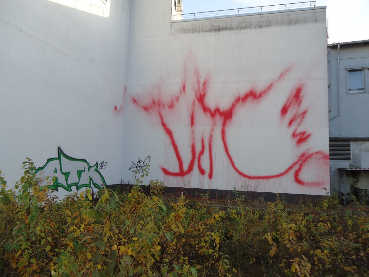 Graffiti Bombing in Oldenburg - Photo by oldenburgcity - atk, ditc (2012)
