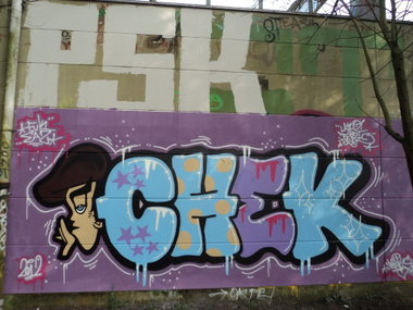 Graffiti Wall in Oldenburg - Photo by oldenburgcity - chek (2012)