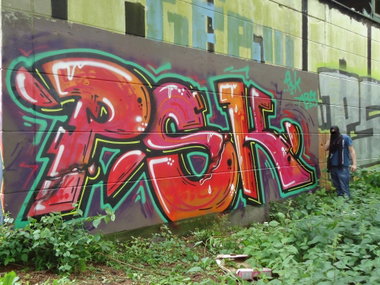 Graffiti Bombing in Oldenburg - Photo by oldenburgcity - psk (2012)