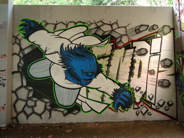 Graffiti Wall in Oldenburg - Photo by oldenburgcity - indiz, psk (2012)