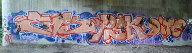 Graffiti Bombing in Oldenburg - Photo by oldenburgcity - ems, psk, ditc (2011)