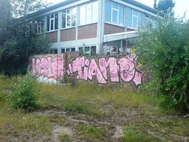 Graffiti Bombing in Oldenburg - Photo by oldenburgcity - laslo, tiamo, eaz