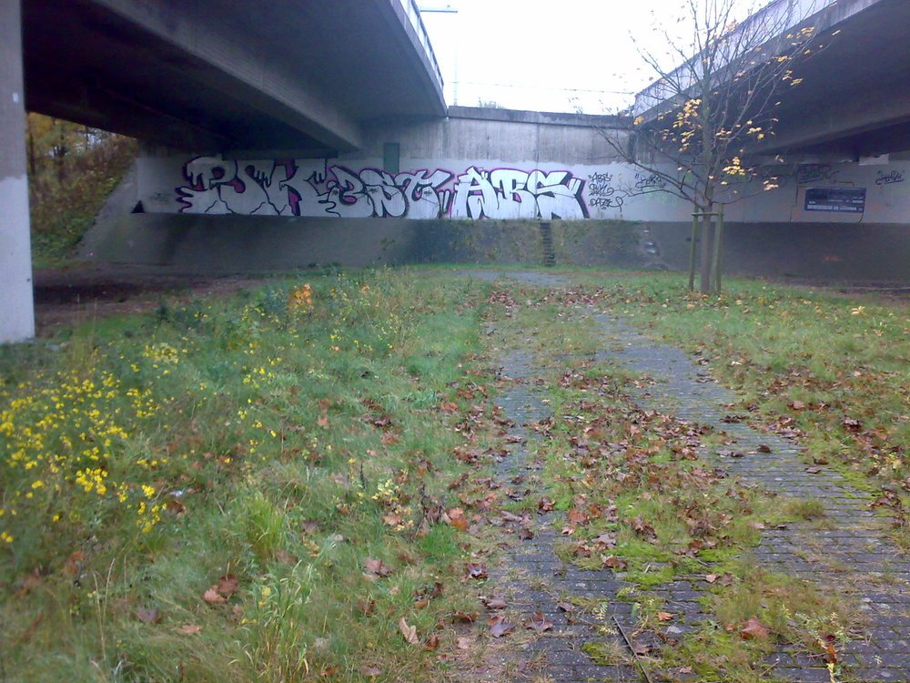 Graffiti Bombing in Oldenburg - Photo by oldenburgcity - psk, 3st, abs