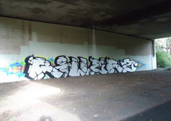 Graffiti Bombing in Oldenburg - Photo by oldenburgcity - rillerz, rlz (2013)