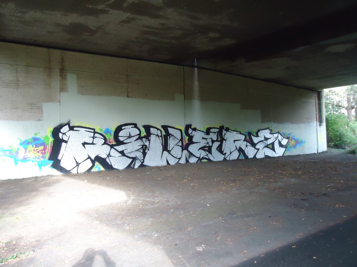 Graffiti Bombing in Oldenburg - Photo by oldenburgcity - rillerz, rlz (2013)