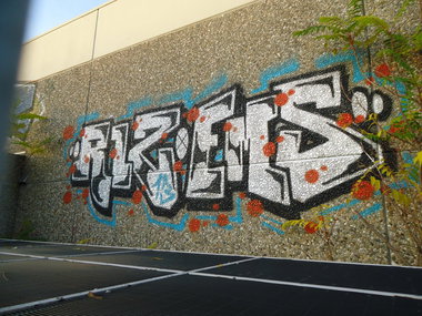 Graffiti Bombing in Oldenburg - Photo by oldenburgcity - rlz, ems (2013)