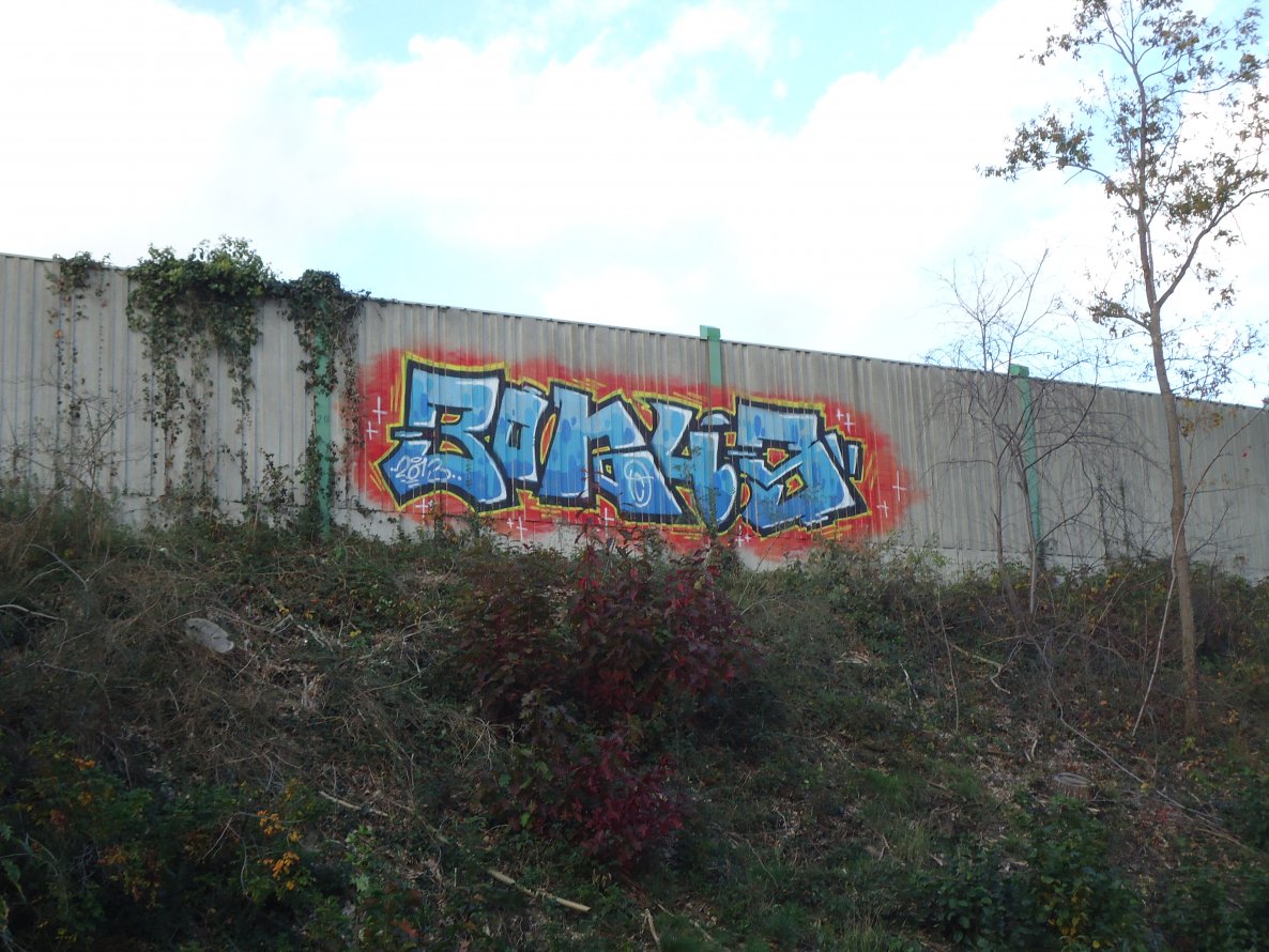 Graffiti Bombing in Oldenburg - Photo by oldenburgcity - bonus (2013)