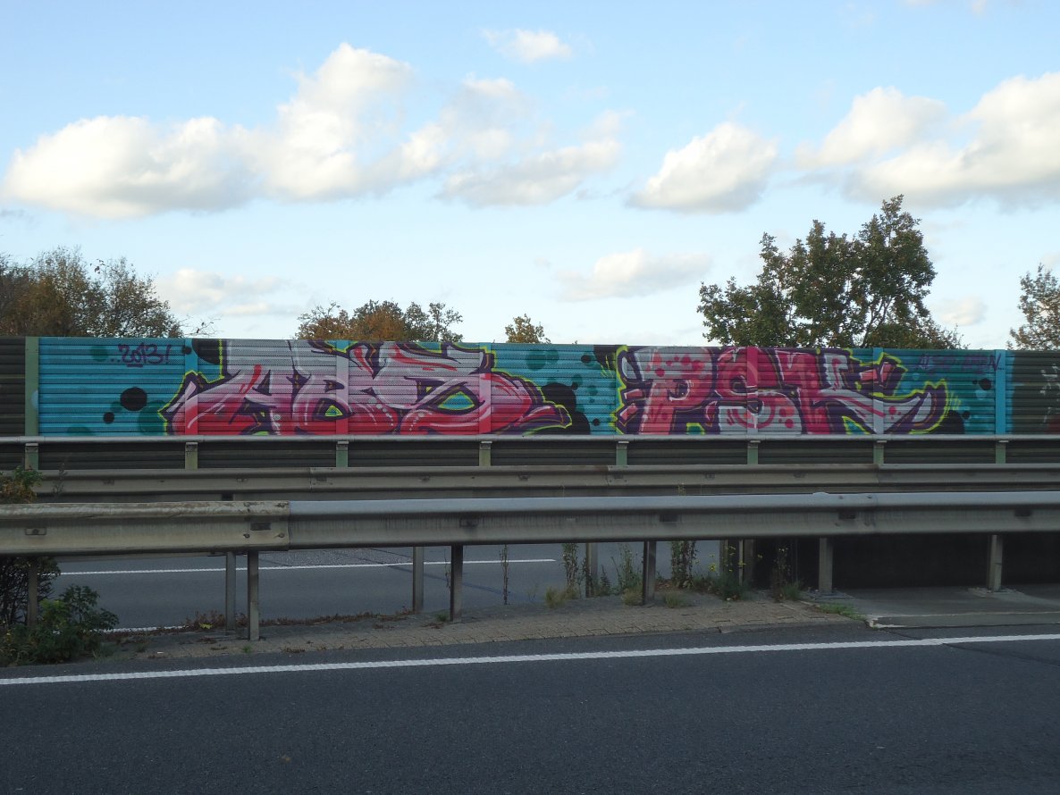Graffiti Bombing in Oldenburg - Photo by oldenburgcity - abs, psk (2013)