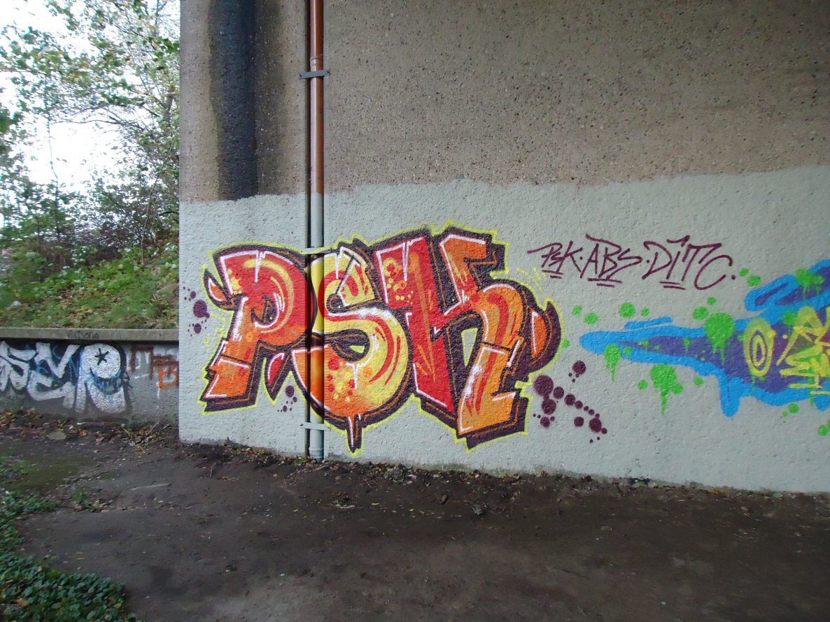 Graffiti Bombing in Oldenburg - Photo by oldenburgcity - psk (2013)
