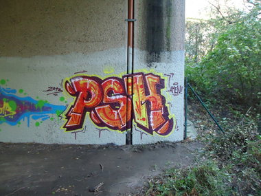 Graffiti Bombing in Oldenburg - Photo by oldenburgcity - psk (2013)