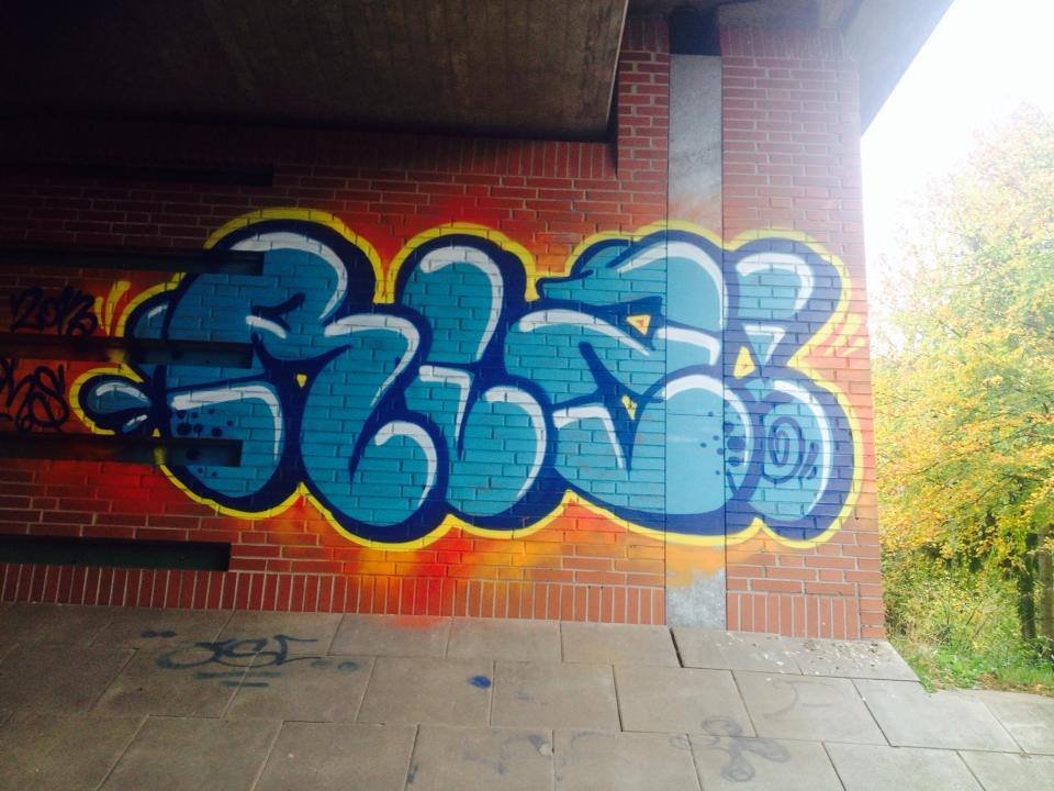 Graffiti Bombing in Oldenburg - Photo by oldenburgcity - rlz (2013)