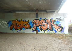 Graffiti Bombing in Oldenburg - Photo by oldenburgcity - abs, psk (2013)