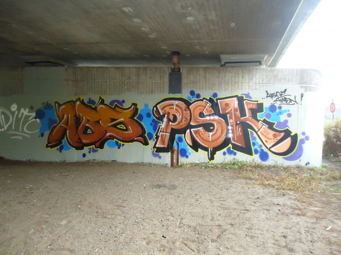 Graffiti Bombing in Oldenburg - Photo by oldenburgcity - abs, psk (2013)