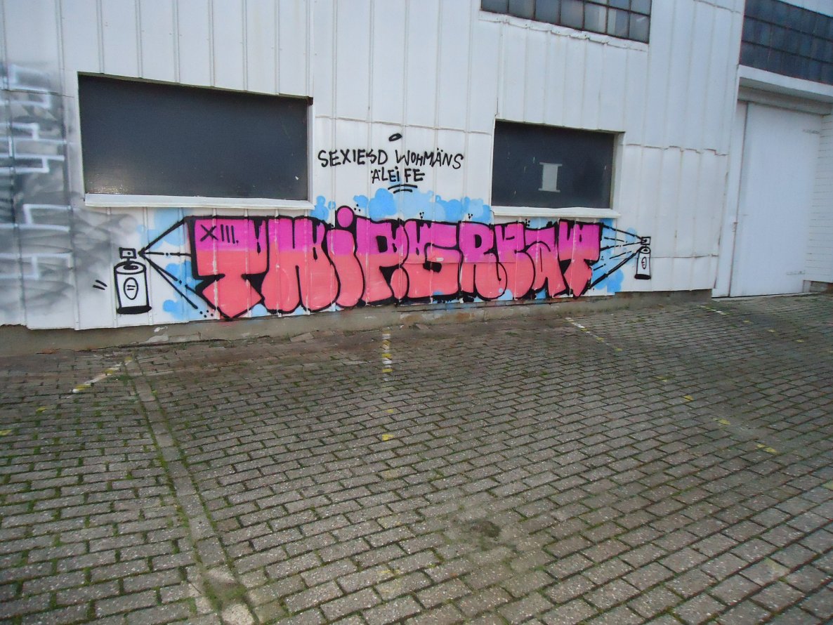 Graffiti Bombing in Oldenburg - Photo by oldenburgcity - thip, great (2013)