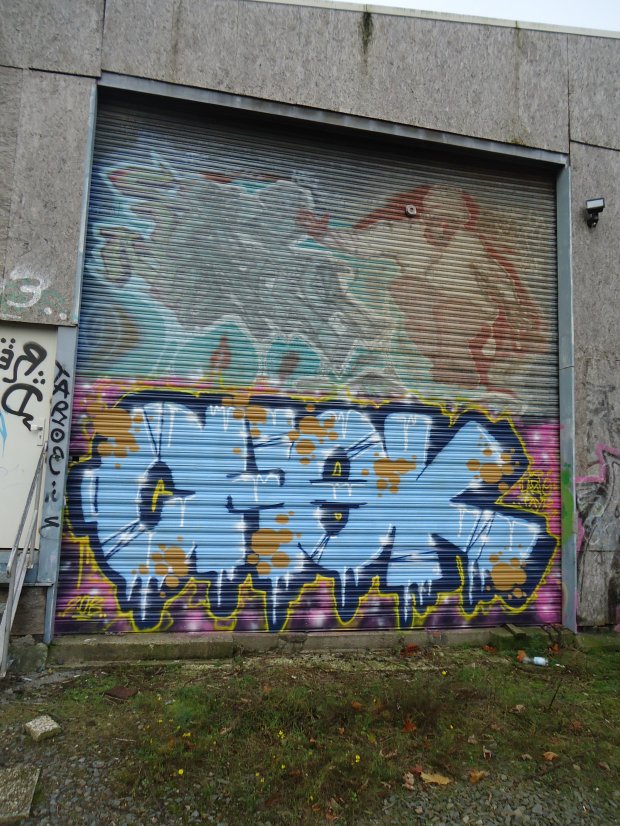 Graffiti Bombing in Oldenburg - Photo by oldenburgcity - chek (2013)