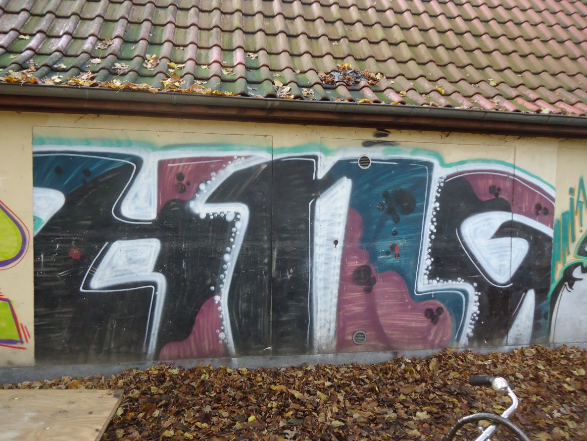 Graffiti Bombing in Oldenburg - Photo by oldenburgcity - hng