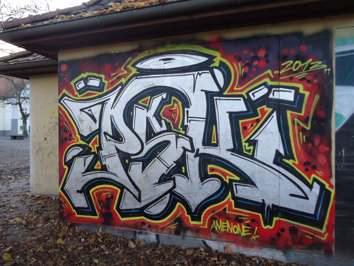 Graffiti Bombing in Oldenburg - Photo by oldenburgcity - psk (2013)