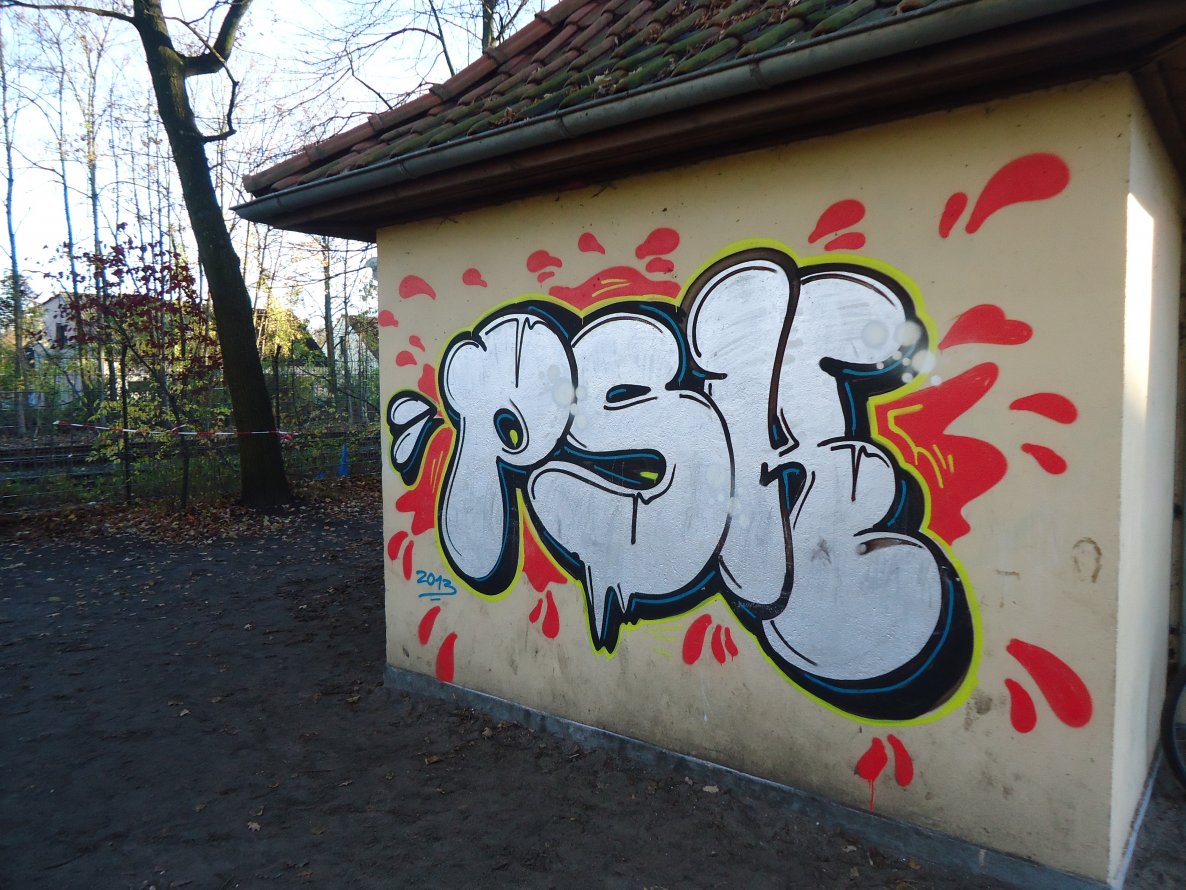 Graffiti Bombing in Oldenburg - Photo by oldenburgcity - psk (2013)