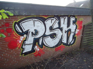 Graffiti Bombing in Oldenburg - Photo by oldenburgcity - psk (2013)