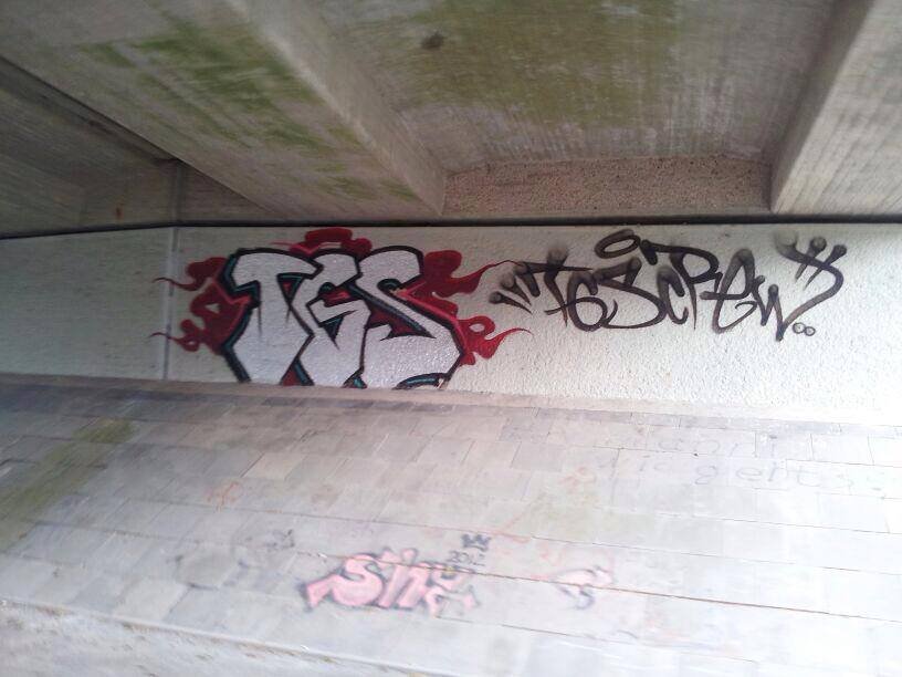 Graffiti Bombing in Oldenburg - Photo by oldenburgcity - tgs (2013)