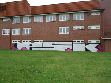 Graffiti Bombing in Oldenburg - Photo by oldenburgcity - psk (2013)
