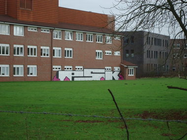 Graffiti Bombing in Oldenburg - Photo by oldenburgcity - psk (2013)
