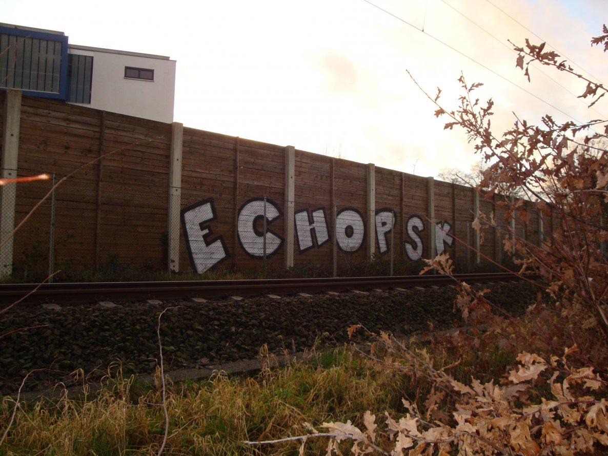 Graffiti Bombing in Oldenburg - Photo by oldenburgcity - echo, psk (2013)