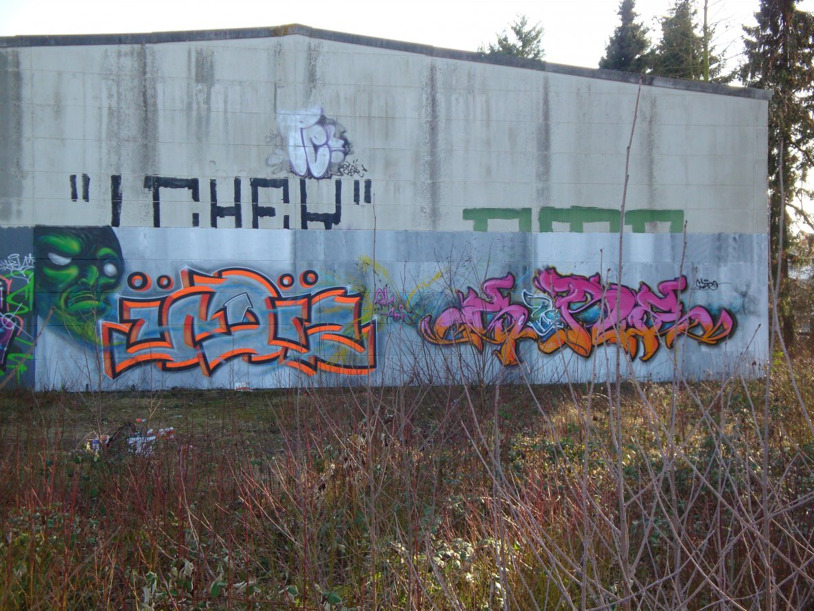 Graffiti Wall in Oldenburg - Photo by oldenburgcity - indiz, sure (2013)