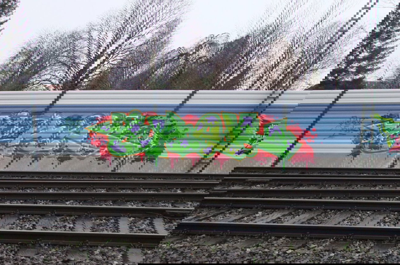 Graffiti Bombing - Photo by oldenburgcity - chek (2013)