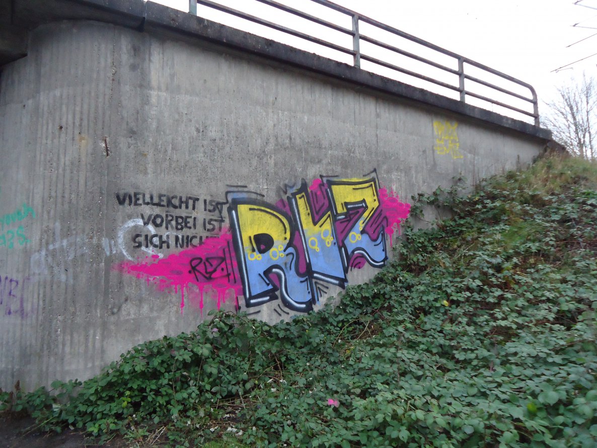 Graffiti Bombing in Oldenburg - Photo by oldenburgcity - rlz (2013)