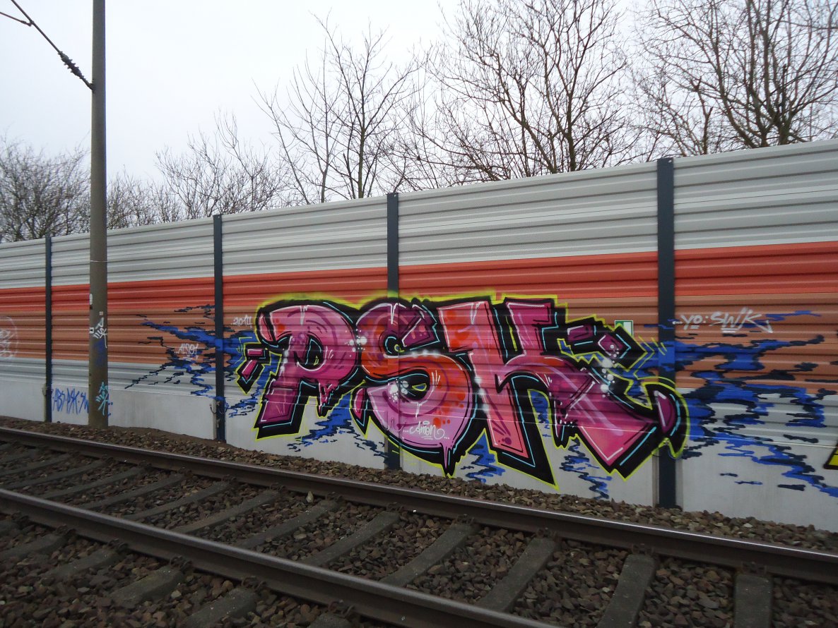 Graffiti Bombing in Delmenhorst - Photo by oldenburgcity - psk (2014)