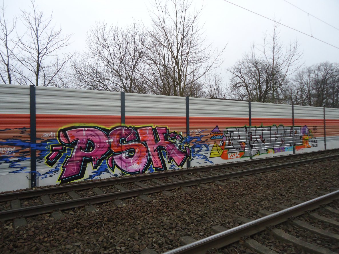 Graffiti Bombing in Delmenhorst - Photo by oldenburgcity - psk, pswk, swk (2014)