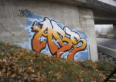 Graffiti Bombing in Oldenburg - Photo by oldenburgcity - abs (2012)