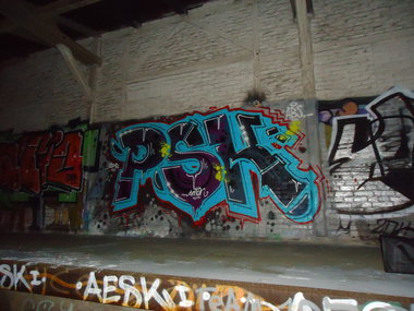 Graffiti Bombing - Photo by oldenburgcity - psk (2014)