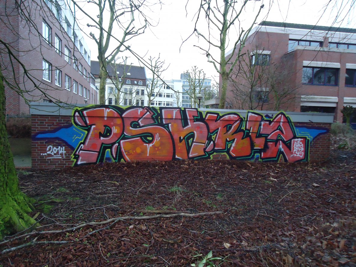 Graffiti Bombing in Oldenburg - Photo by oldenburgcity - psk, rlz (2014)