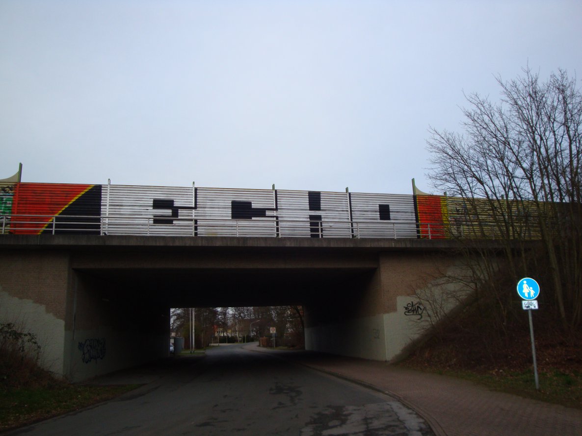 Graffiti Bombing in Oldenburg - Photo by oldenburgcity - echo (2014)